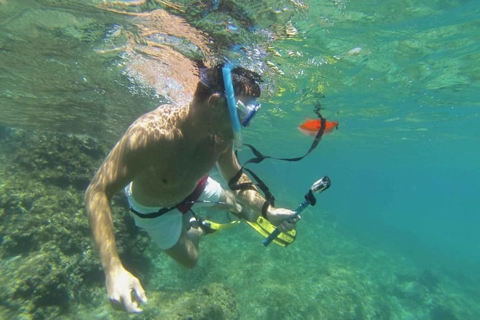 Snorkeling immersive experience with picnic