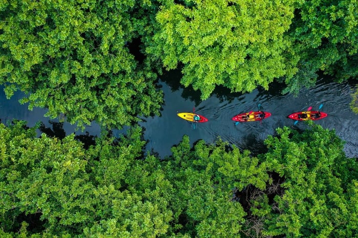 Mauricio: Tour Guiado en Kayak por el Río Tamarin