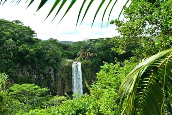 Chamarel: Privat guidet dagstur i det sydvestlige Mauritius