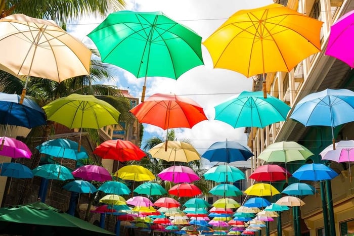 Full Day Tour: Wild Dolphin Swim, Port Louis & SSR Garden
