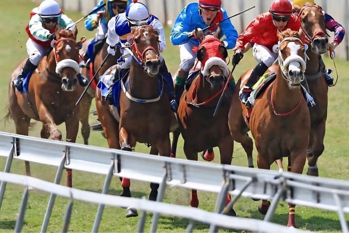 Horse Racing Experience with Local Guide