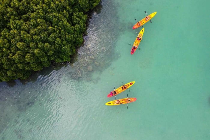 Île d’Ambre Guided Mangrove Kayaking Adventure
