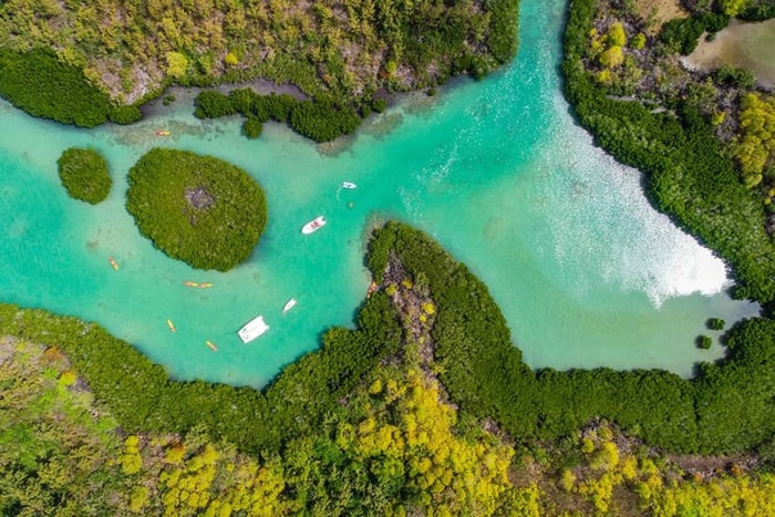 Île d’Ambre Kayaking Tour