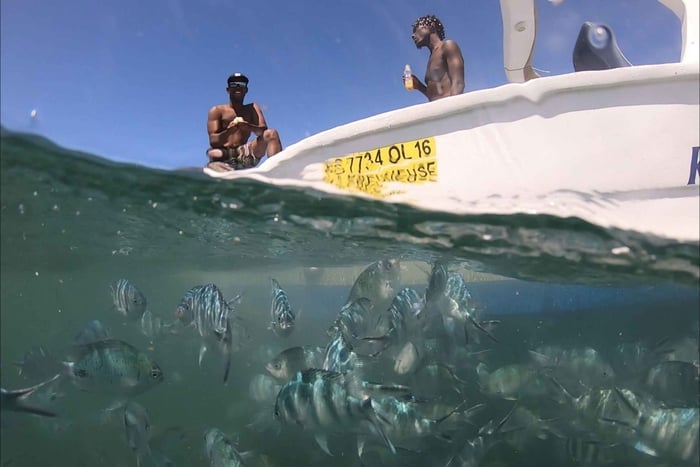 La Preneuse: Dolphin Watching and Snorkeling Speedboat Tour