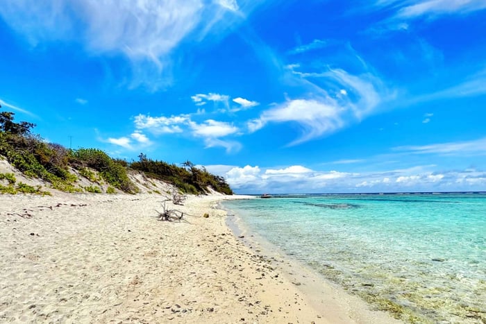 Mauritius: Privat speedbådstur til 3 nordlige øer + grill