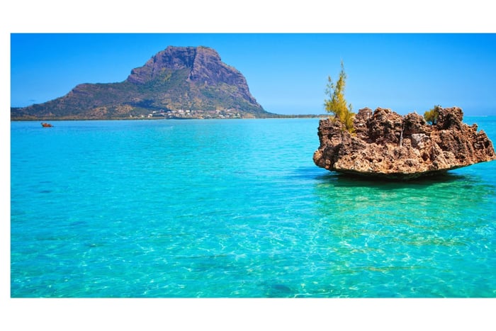 Mauritius: Dolphin Encounter & Benitier Island