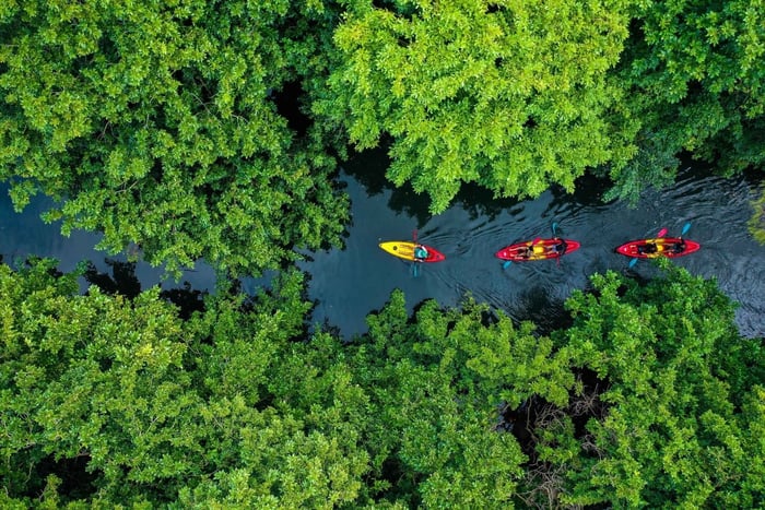 Mauritius: Geführte Kajaktour auf dem Tamarin-Fluss