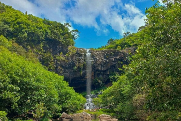 Mauritius Vandring 7 vandfaldstur med Ganga Talao & frokost