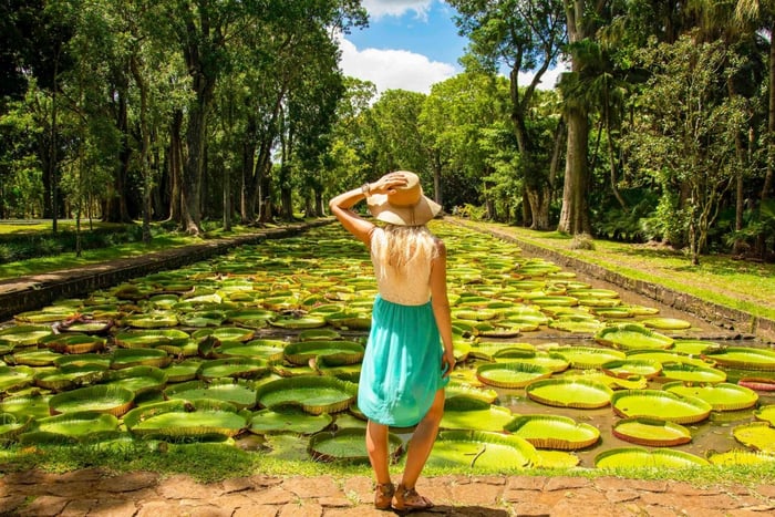 Mauritius: Prywatna całodniowa wycieczka instagramowa
