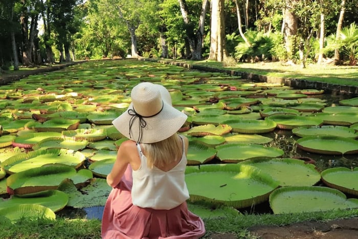 Recorrido Norte: Port Louis, Caudan, Citadelle, Jardín Botánico