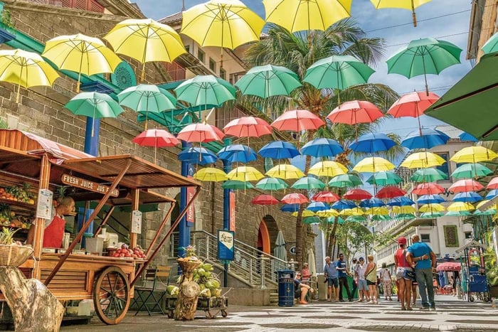 Private Port Louis & Northern Tour with Pickup
