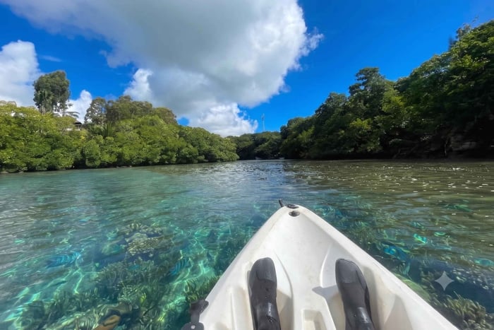 Rivière du Rempart Guided Kayak Tour