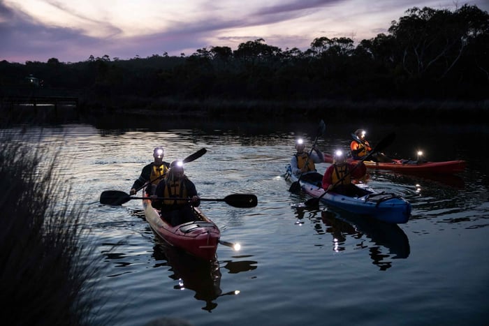Anglesea: excursión nocturna en kayak bajo las estrellas