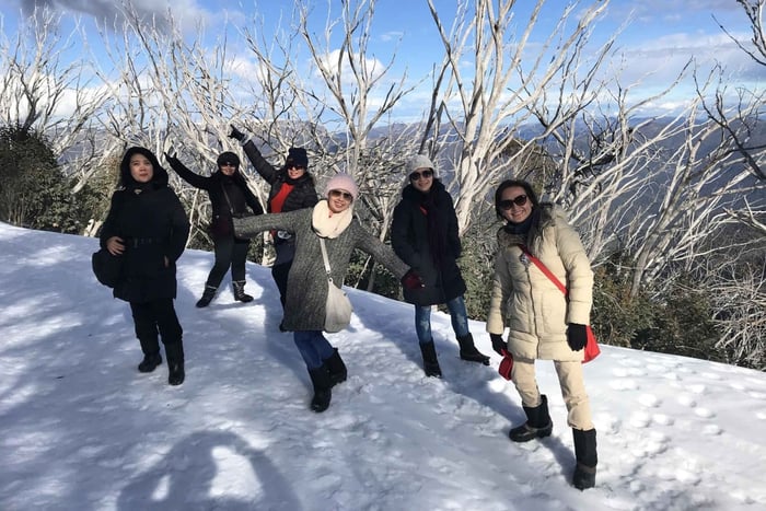 Von Melbourne aus: Mt Buller Snow Day Kleingruppen-Boutique-Tour
