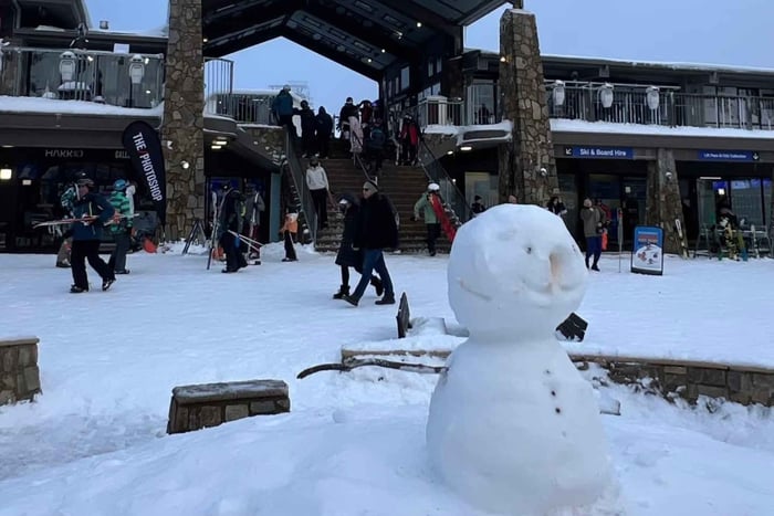 From Melbourne - Private Mt Buller Day Trip with Guide