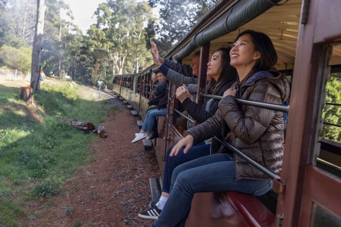 Fra Melbourne: Puffing Billy-tog og pingvin- og dyretur
