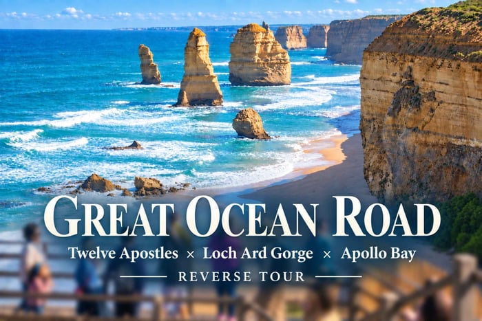 Great Ocean Road Tour, 12 Apostles & Apollo Bay