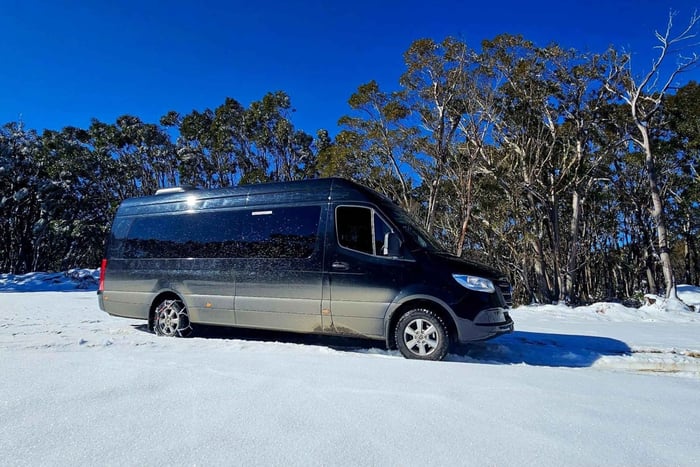 Great Private Tours Luxe Bus Lake Mountain Snow Play Tour