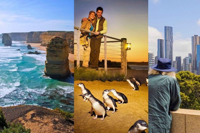 Melbourne: Great Ocean Road, Penguin Parade & gratis stadsrondleiding