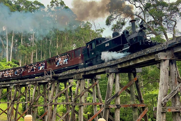 Melbourne: Półdniowe doświadczenie z pociągiem parowym Puffing Billy