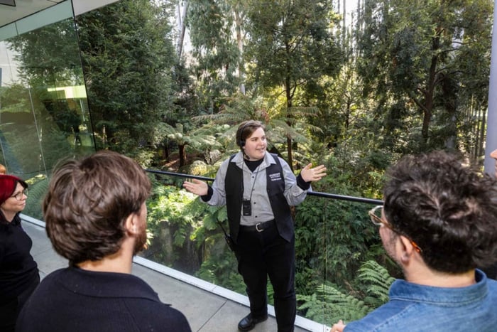 Melbourne: tour guidato del Museo di Melbourne con biglietto d'ingresso