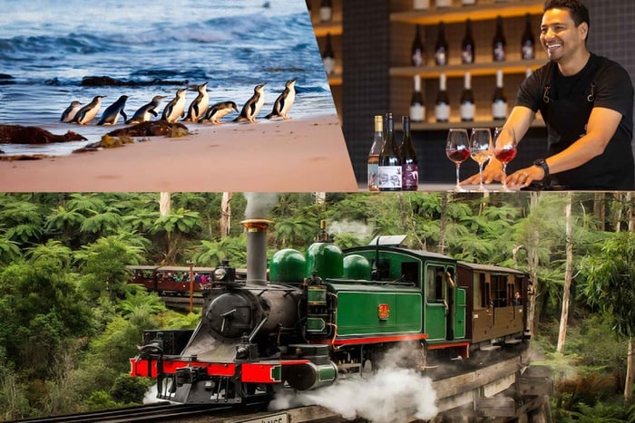Melbourne: Pinguin-Parade & Yarra Valley Schokoladen-Wein-Tour