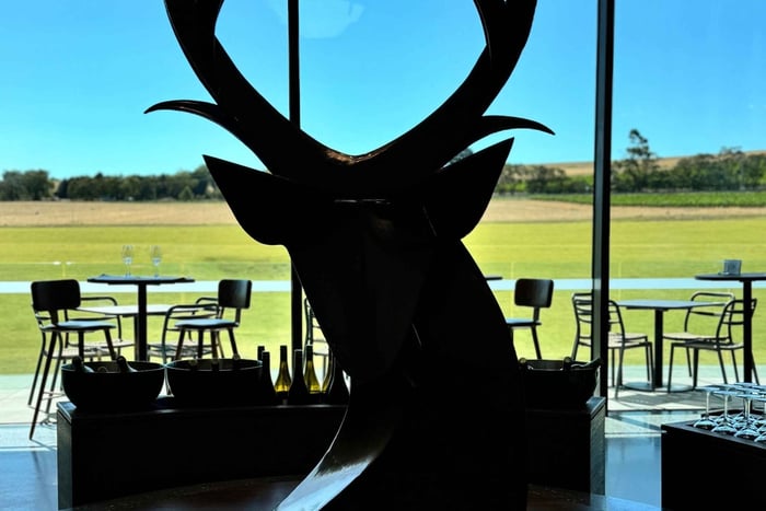 Melbourne : dégustation privée de vins dans la vallée de Yarra