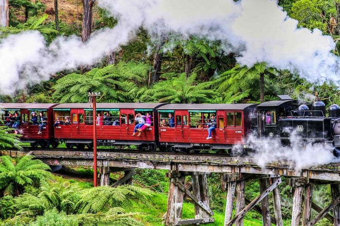 Melbourne: Tour panoramico di Puffing Billy e del santuario di Healesville