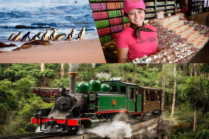 Melbourne Puffing Billy Pinguin Yarra Valley Wein-Schokoladen-Tour