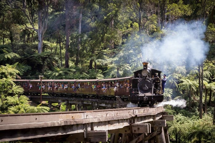 Melbourne : Train Puffing Billy et excursion sur l'île des pingouins