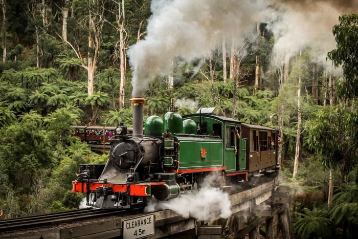 Melbourne : visite privative du zoo et du train Puffing Billy