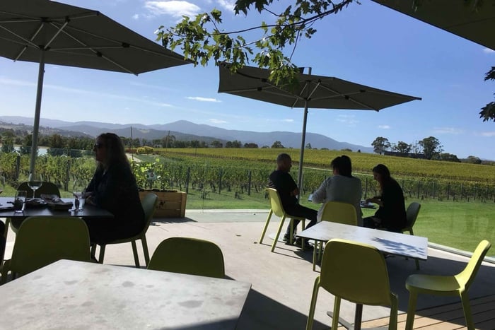 Melbourne: tour privato di 1 giorno alle cantine della Yarra Valley