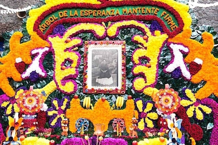 Acceso al Museo Frida Kahlo con Guía Digital