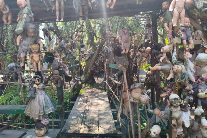 Città del Messico: canali, Isola delle bambole, axolotl e guida a Coyoacan