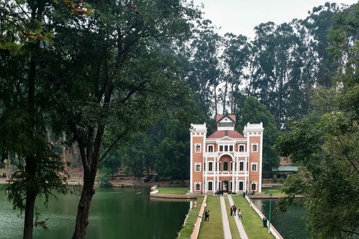 Chautla's Castle, Lavender Farm, and Valquirico Private Tour