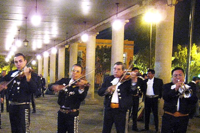 Garibaldi by Night with Dinner at Bellini