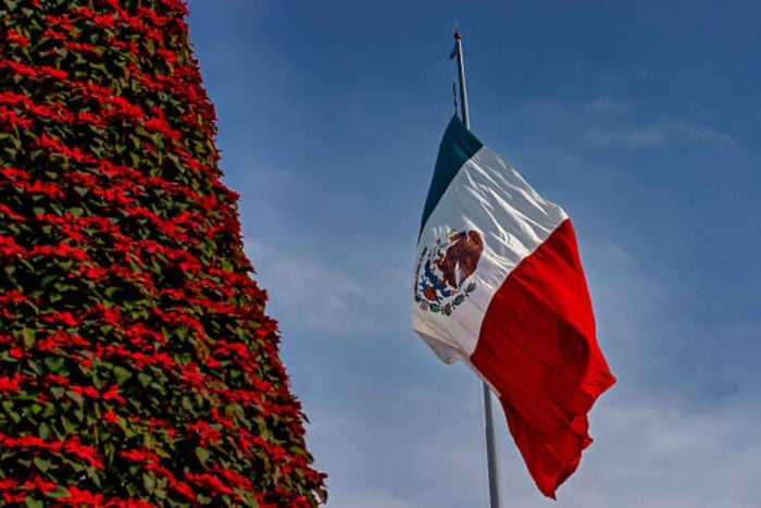 Magiska julbelysning: privat rundvandring i Mexico City