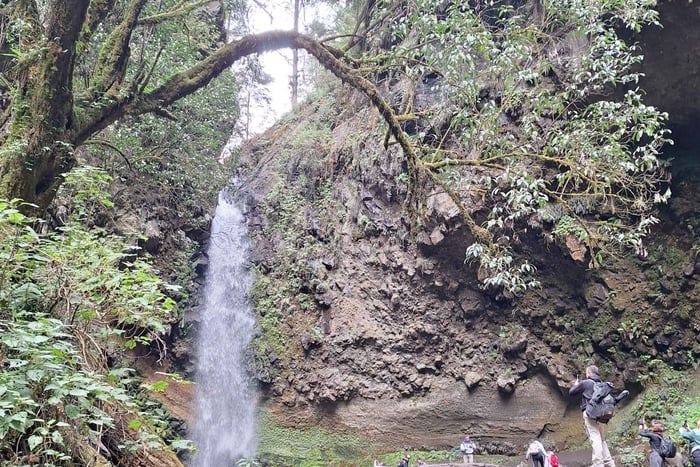 Mexico City: Bubble Waterfall Private Hike with Pickup