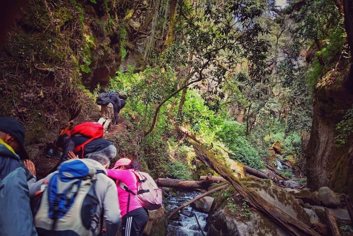 Mexico City: Cascada de Hueyapan Private Hiking Tour