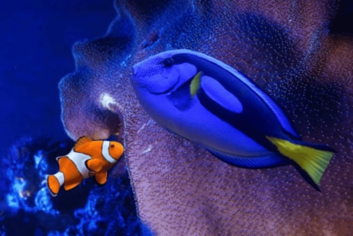 Ciudad de México: Ticket de entrada rápida al Acuarium Inbursa