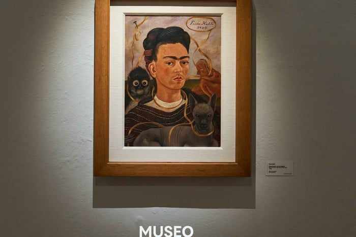 Cidade do México: As pinturas de Frida Kahlo no Dolores Olmedo
