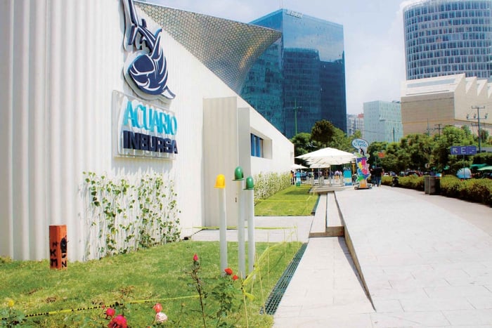 Mexico City: Inbursa Aquarium optional Round trip transfer