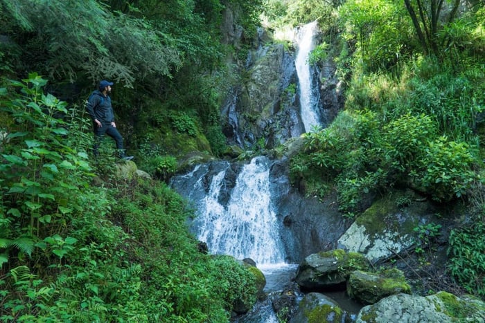 Mexico City: Magdalena River Hike and Meditation with Meal