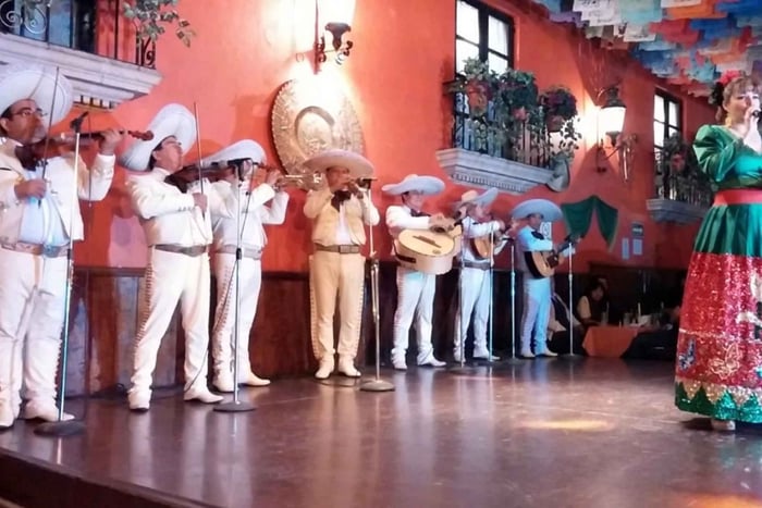 Mexico City: Mariachi Plaza Garibaldi Night Tour
