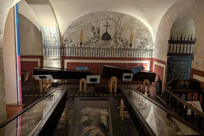 Mexico City: Museum of El Carmen Tour with Ticket