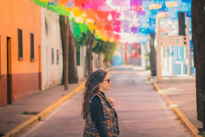 Mexico City Tours with a PhD Historian (SP/EN/FR)