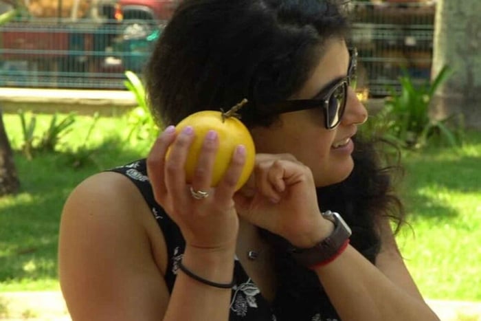 Mexico's Tropical Fruit Guided Tasting in Mexico City