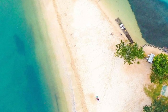 Ocho Rios: Bamboo Rafting and Zipline Adventure