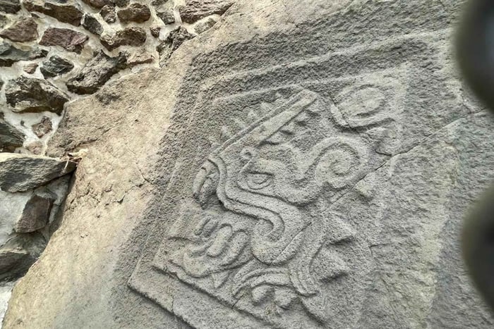 Xochimilco: Chinampas, Axolotl & archäologische Stätte Cuahilama