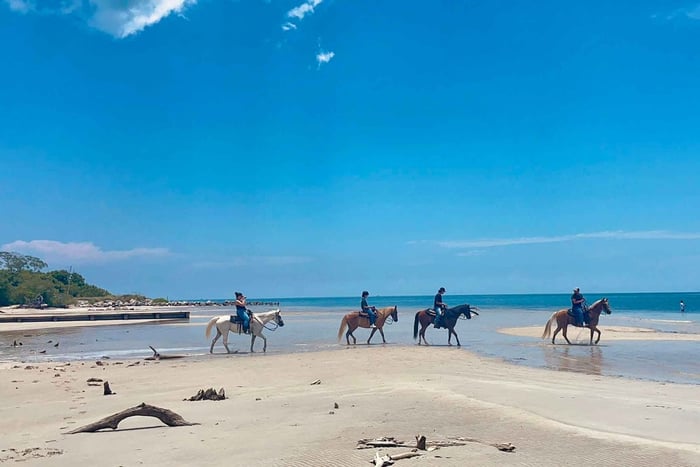 Beach Horse Ride & Nature Trail